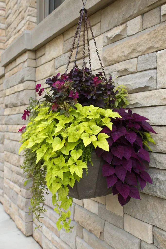 15 sweet potato vine a bold display of lime gree