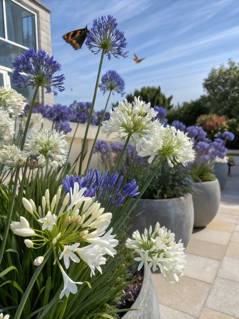 3 detailed photo of a vibrant summer garden with