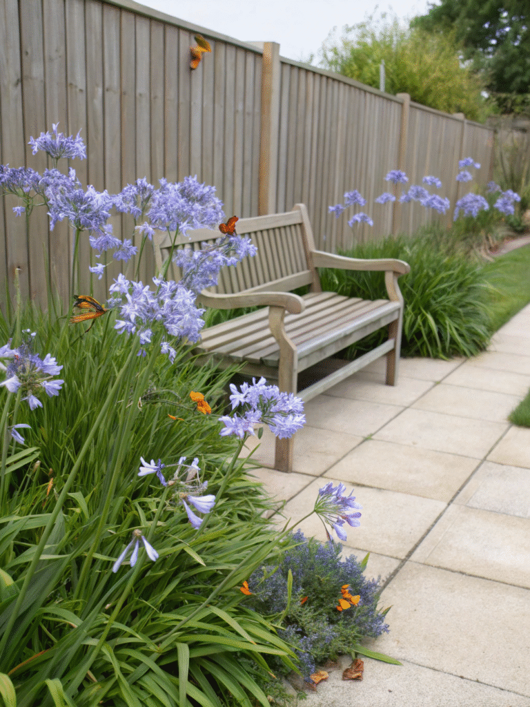 30 agapanthus summer skies peaceful backyard bo