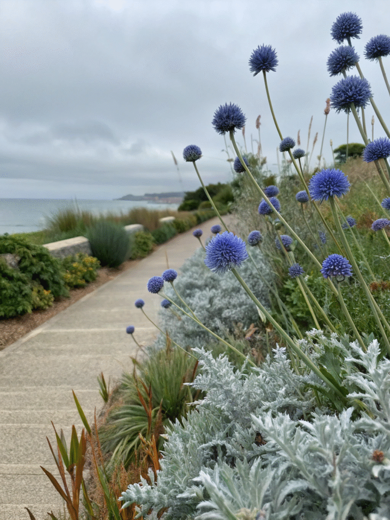 38realistic photo of a coastal garden border with